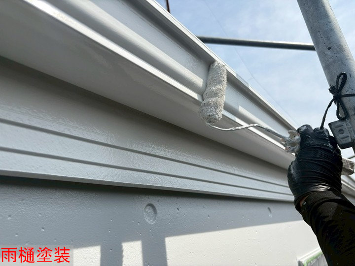 雨樋の塗装作業