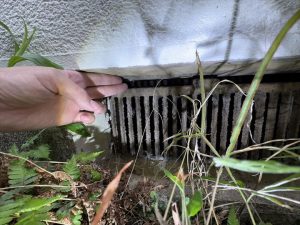 親ネズミなら2.5cnmで侵入可能