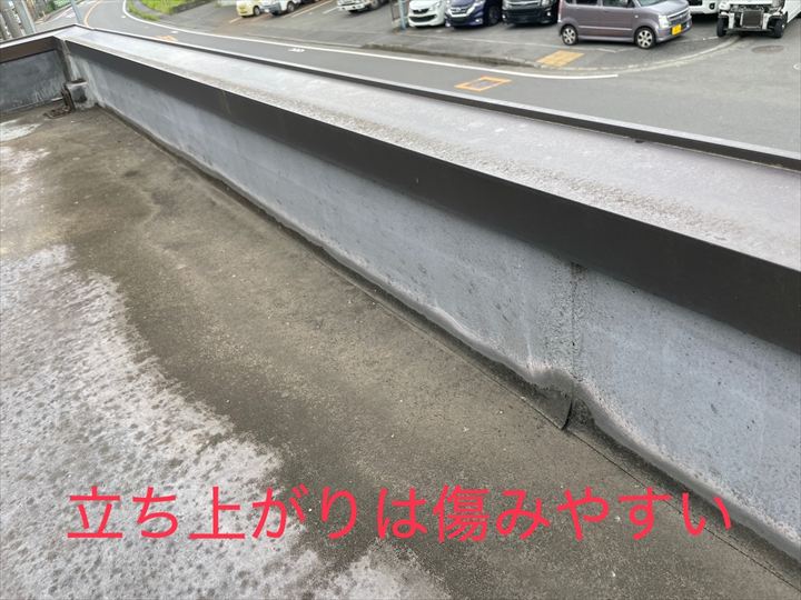 立上りは傷みやすい
