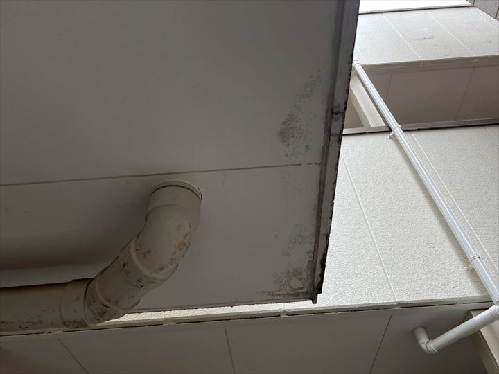 他にも水跡が・・・