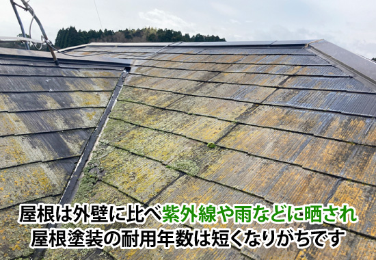 屋根は外壁塗装に比べ、耐用年数が短くなります