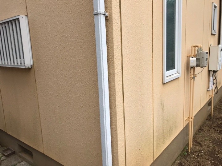 苔が付着した外壁面