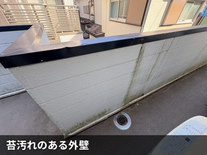 苔が付着した外壁