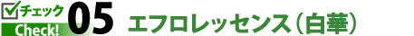 チェック5エフロエッセンス(白華)