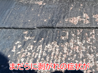 川崎市幸区都町で塗膜が剥がれたスレートを調査。まだら状に剥がれているのは施工不良？
